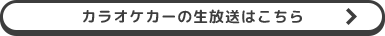 ボタン